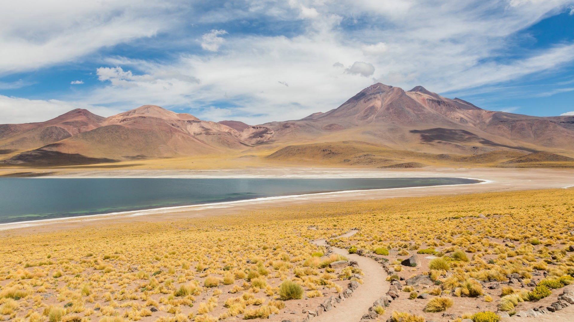 Dr. José Prieto · Otorrinolaringólogo · Calama · Antofagasta  | Chile